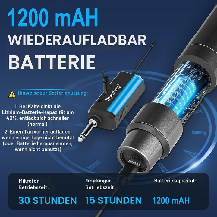 Depusheng Drahtlose Mikrofone, Dual-Karaoke-Mikrofonsystem, Microfonos Inalambricos mit wiederauflad