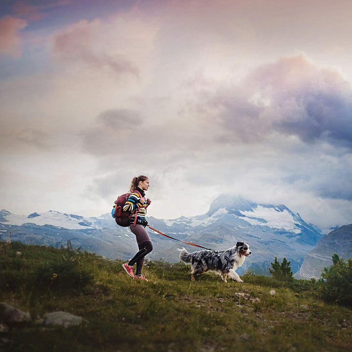 Trekking Belt von Nonstop, Laufgurt,Jogginggurt, Wandergurt für Hunde (S, Purple) S Purple, S Purple