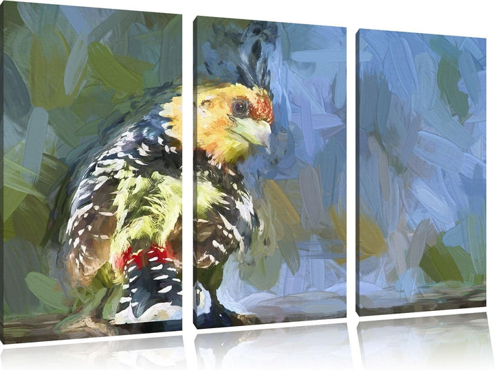 schöner Hauben-Bartvogel NewArt 3-Teiler Leinwandbild 120x80 Bild auf Leinwand, XXL riesige Bilder f