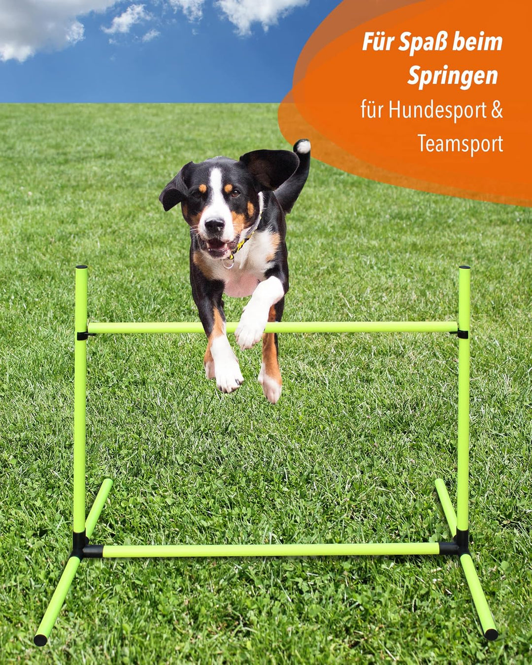 Sprunghürde aus Kunststoff – für Agility & Obedience – Parcours-Hindernis für Agility Training – Hür