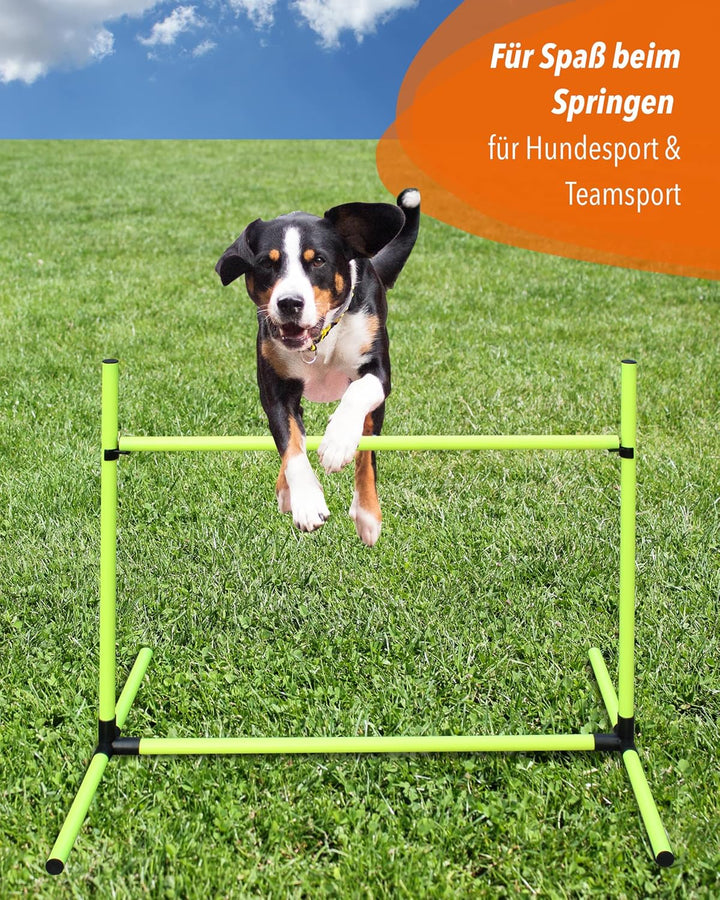 Sprunghürde aus Kunststoff – für Agility & Obedience – Parcours-Hindernis für Agility Training – Hür