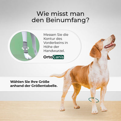 Ortocanis - Karpalbandage für Hunde mit Arthrose, Bandverletzungen, instabilem Karpalgelenk, Grösse