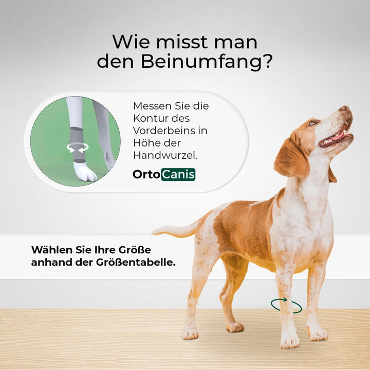 Ortocanis - Karpalbandage für Hunde mit Arthrose, Bandverletzungen, instabilem Karpalgelenk, Grösse