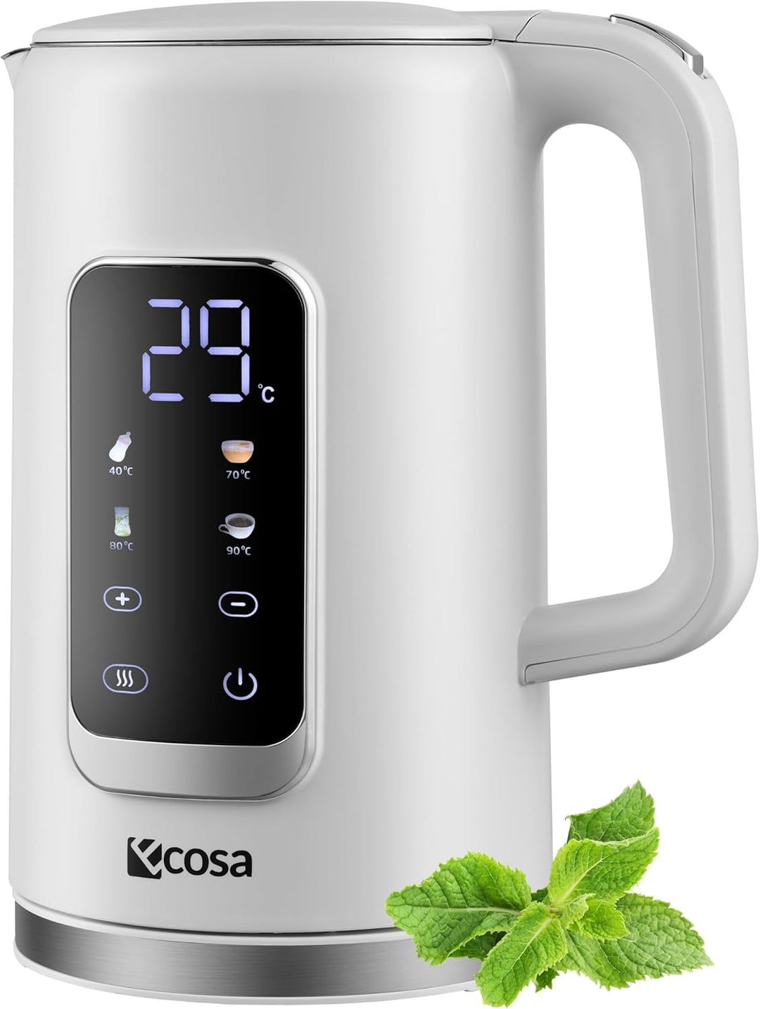 Wasserkocher Edelstahl mit Temperatureinstellung (40°C-100°C) 1,7 Liter 2200 Watt Teekocher 100% BPA