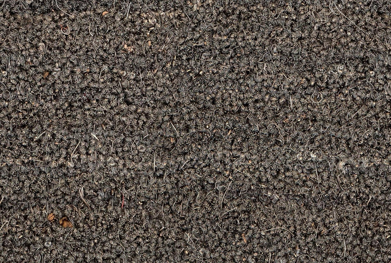 Carpido rutschfeste Kokosmatten - antibakterielle Türmatten - für den überdachten Aussenbereich - na