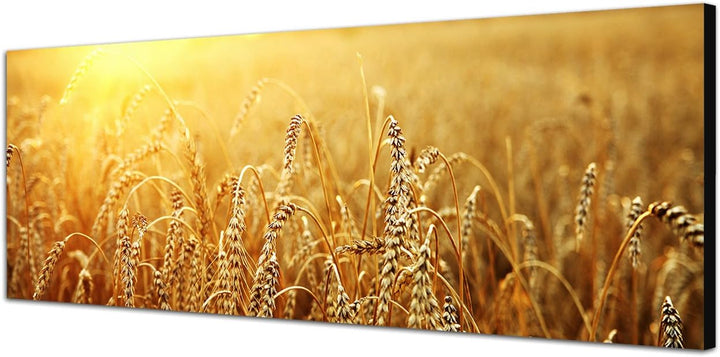 Paul Sinus Art Panoramabild auf Leinwand und Keilrahmen 120x40cm Kornfeld Herbst Sonnenuntergang