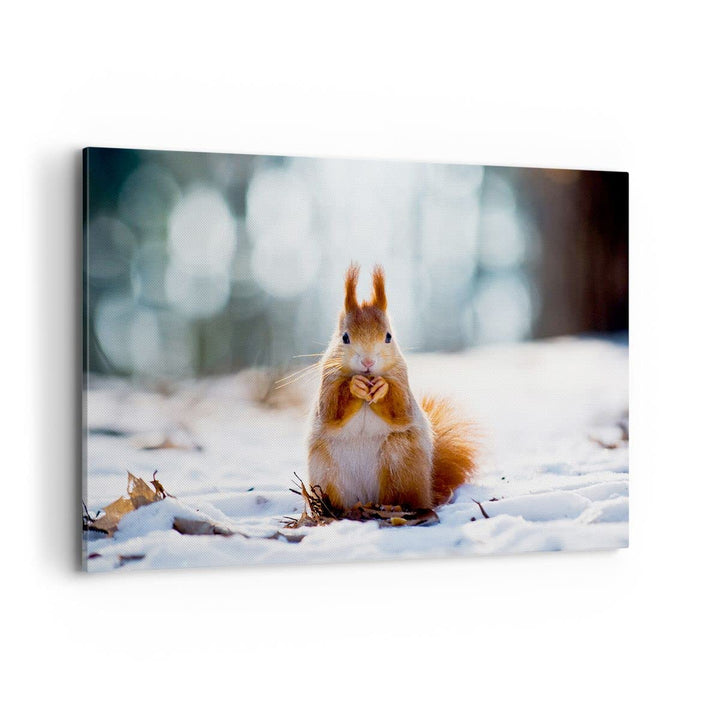 Bilder auf Leinwand 100x70cm Leinwandbild Eichhörnchen Winter Schnee Essen Gross Wanddeko Bild Schla