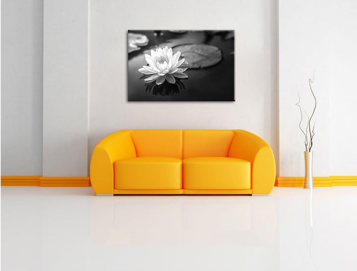 Pixxprint Lotusblume in Teich als Leinwandbild/Grösse: 100x70 cm/Wandbild/Kunstdruck/fertig bespannt