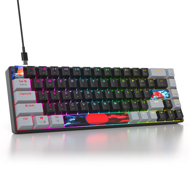 SOLIDEE Tragbare 65% mechanische Gaming-Tastatur,68 Tasten kompakte RGB LED-Hintergrundbeleuchtung,k