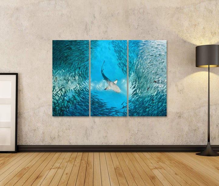 islandburner Bild auf Leinwand Hai Und Kleine Fische Im Ozean Bilder Wandbilder Poster Leinwand 130x