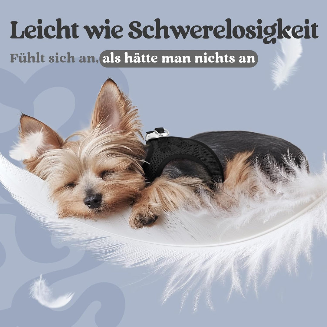 rabbitgoo Hundegeschirr Kleine Hunde, Step-in Welpengeschirr Weich Mesh für Spaziergänge, Atmungsakt