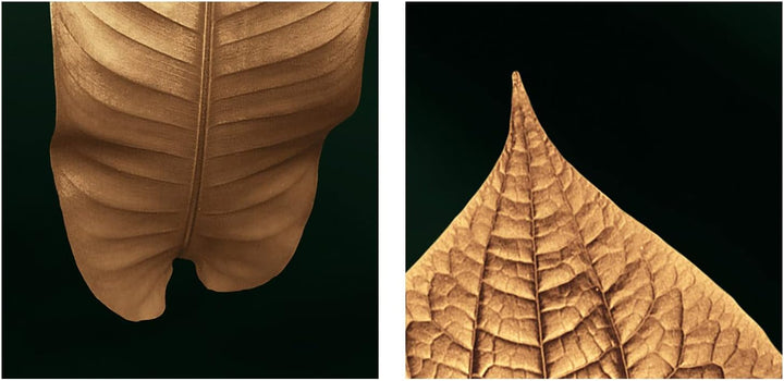 murando - Bilder goldene Blätter 150x60 cm Vlies Leinwandbild 5 Teilig Kunstdruck modern Wandbilder