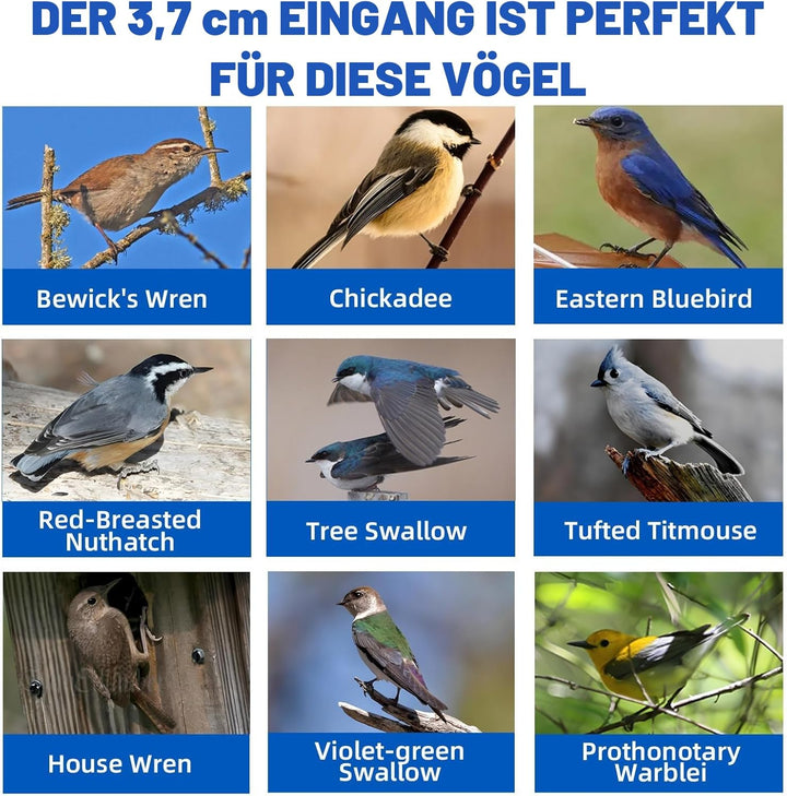Deko-Vogelhaus aus Holz, Kiefer natur, Design mit doppeltem Eingang