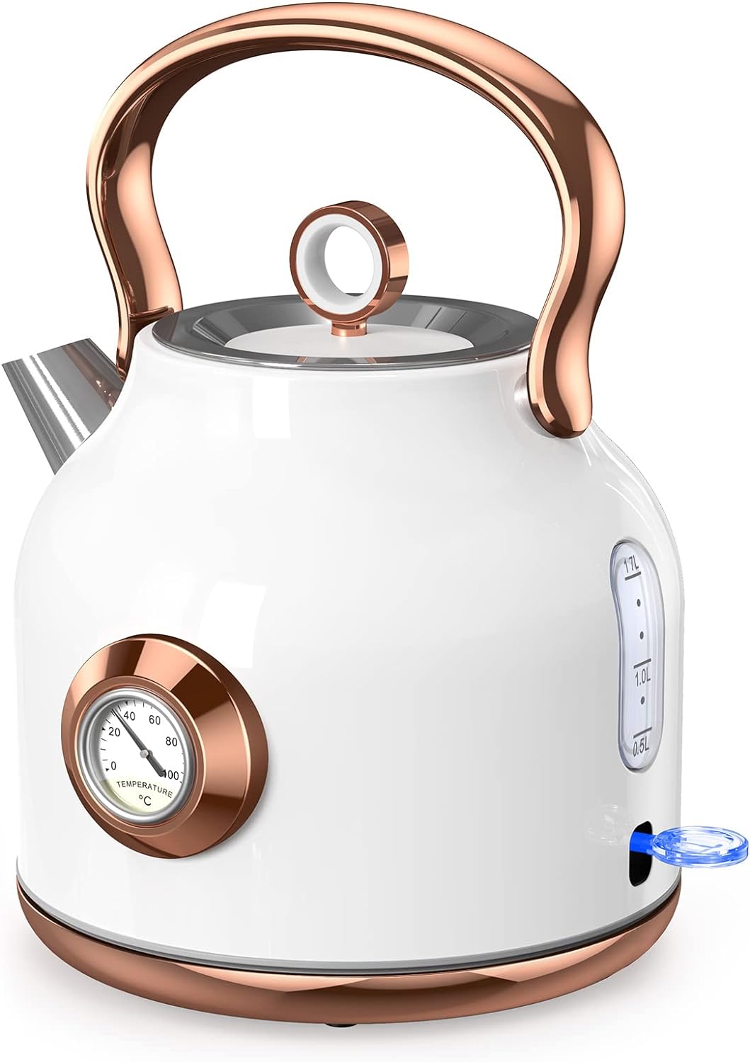 NESSGRAIM Retro Wasserkocher, 1,7 l Edelstahl-Teekessel mit Grosser Temperaturanzeige, 2200W Schnell