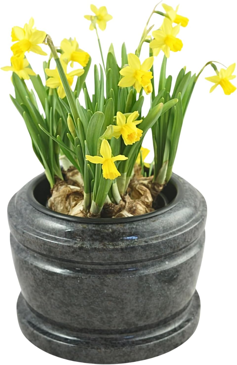 designgrab Granit-Grabschale Exclusiv Granit 24 cm rötlich-grau, blaugrau-schwarz-rotbraun, schwarz,