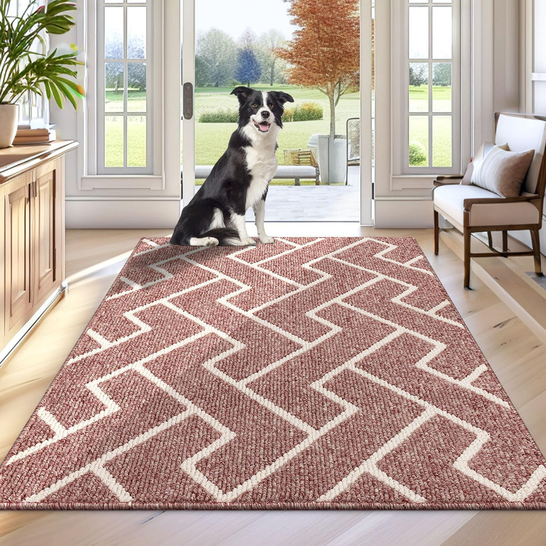 Biscpro Schmutzfangmatte 80 x 100, Rutschfestigkeit Fussmatte,Maschine gewaschen Türmatte für Hund,