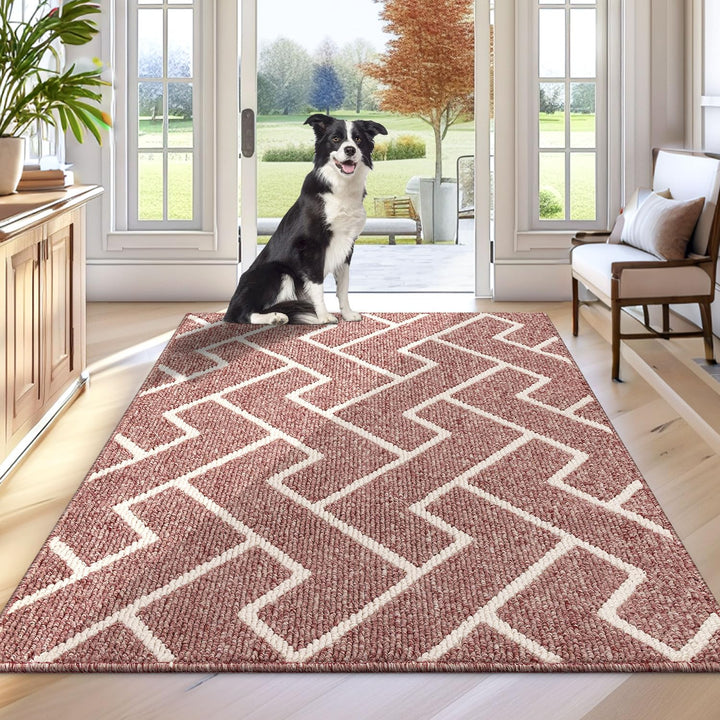 Biscpro Schmutzfangmatte 80 x 100, Rutschfestigkeit Fussmatte,Maschine gewaschen Türmatte für Hund,