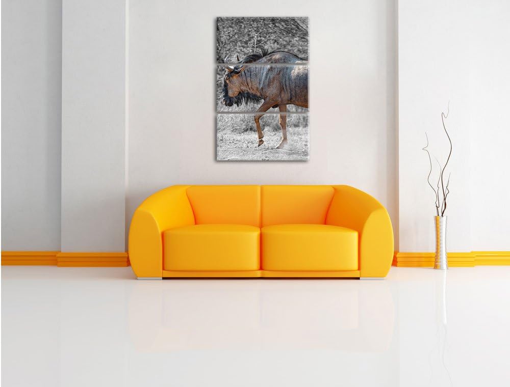 Pixxprint gigantische Kaffernbüffel in der Savanne schwarz/weiss 3-Teiler Leinwandbild 120x80 Bild a