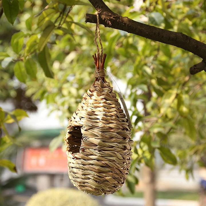 2 Stück Gras Bird Nest, Handgewebte Vogelhäuser, Verschleissfest Hängender Vogelnest, für Wellensitt