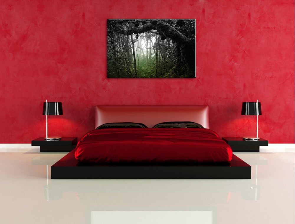 Regenwald in seiner ganzen Pracht schwarz/weiss Format: 100x70 auf Leinwand, XXL riesige Bilder fert