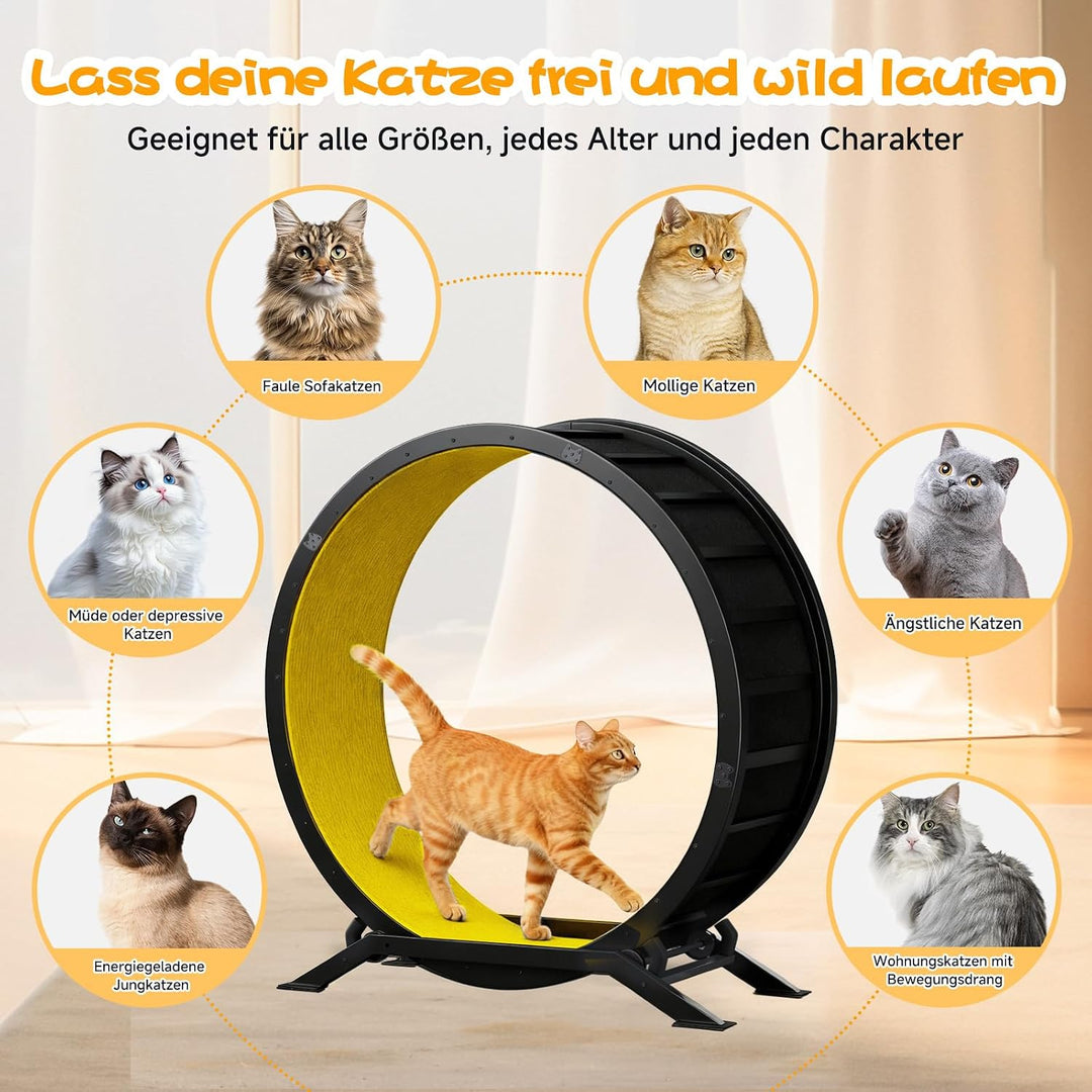 GTPLAYER Katzenlaufrad, laufrad Katze, Extra grosser 100 cm, ultraleises Laufrad mit Abnehmbarer Tep