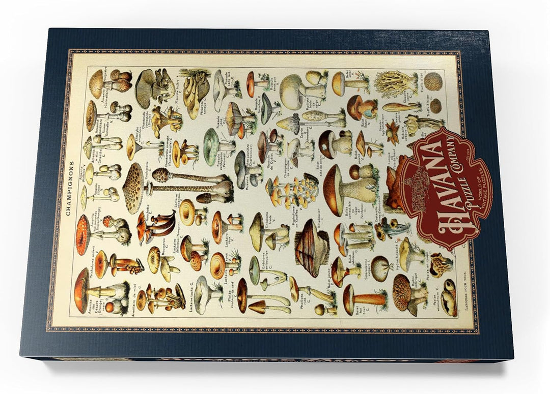 Champignons - Pilze für Alle, Vintage Art Poster, Adolphe Millot - Premium 1000 Teile Puzzle - MyPuz