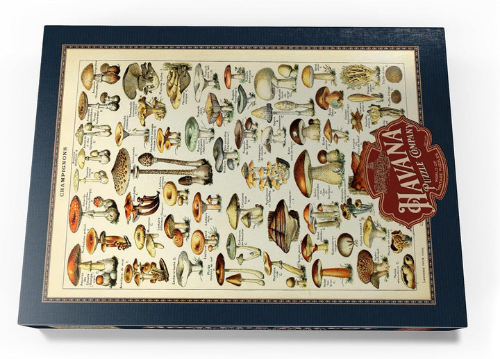 Champignons - Pilze für Alle, Vintage Art Poster, Adolphe Millot - Premium 1000 Teile Puzzle - MyPuz