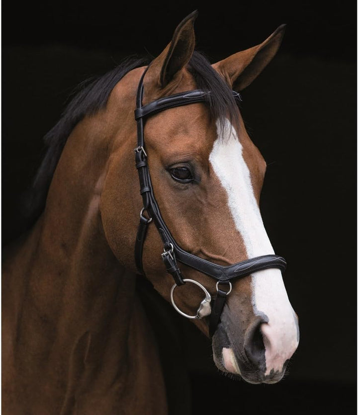 Horseware Rambo Micklem Deluxe Competition Bridle Trense Farbe und Grösse wählbar Schwarz XL, Schwar