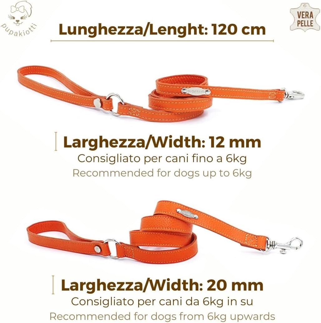 PUPAKIOTTI Basic Hundeleine | Kleine und mittlere Hundeleine | Echtes Leder in Italien | Hundeleine