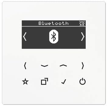 Jung Smart Radio DAB Bluetooth Komplett-Set Serie LS Weiss mit Lautsprecher DABLS1BTWW und 2-Fach Ra