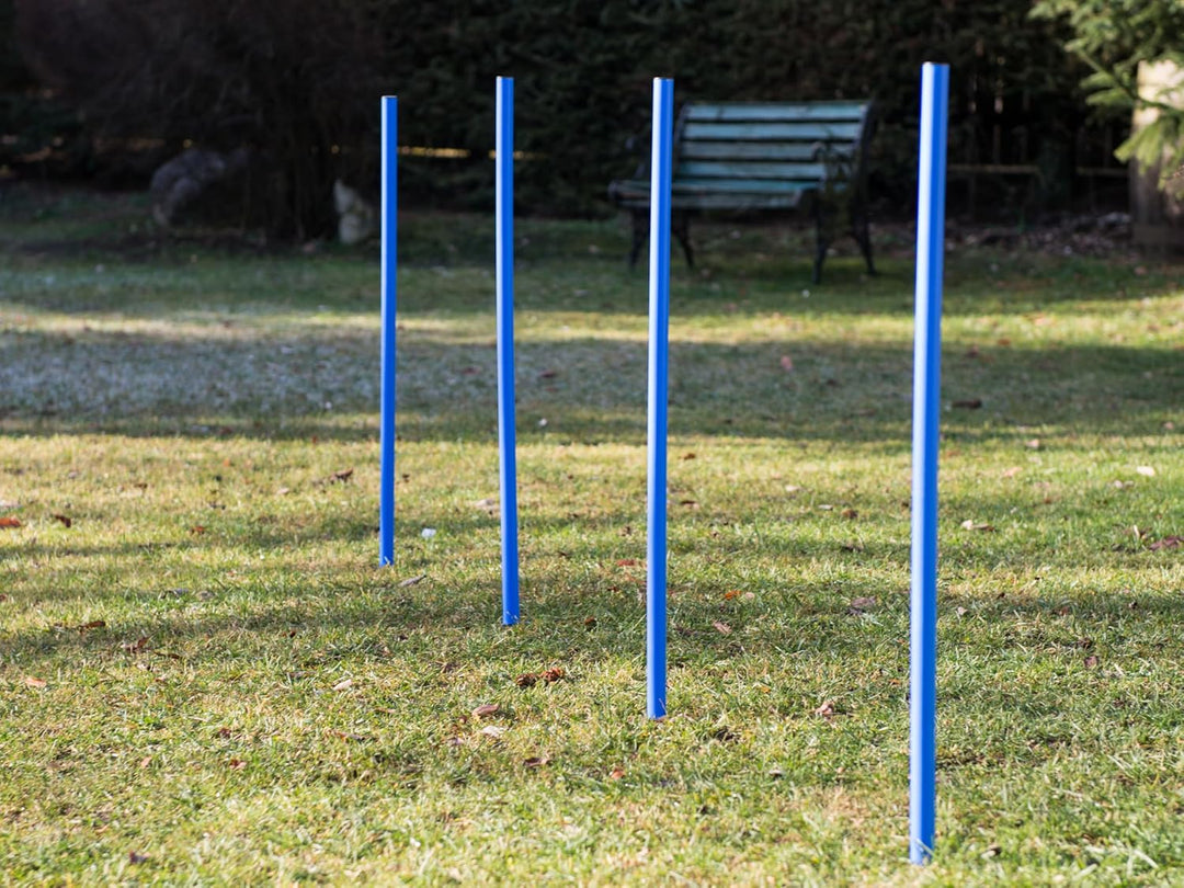 Ingbertson Agility Kit für Hunde – Komplettes Agility-Set für Garten & Hundesport, Hürden & Slalomtr