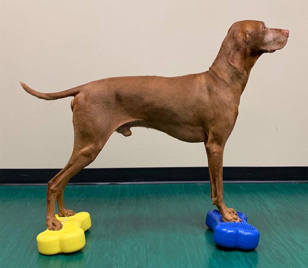 DOG Copenhagen Fitpaws Mini K9 Bone Instabilitätsscheibe für Propriozeption