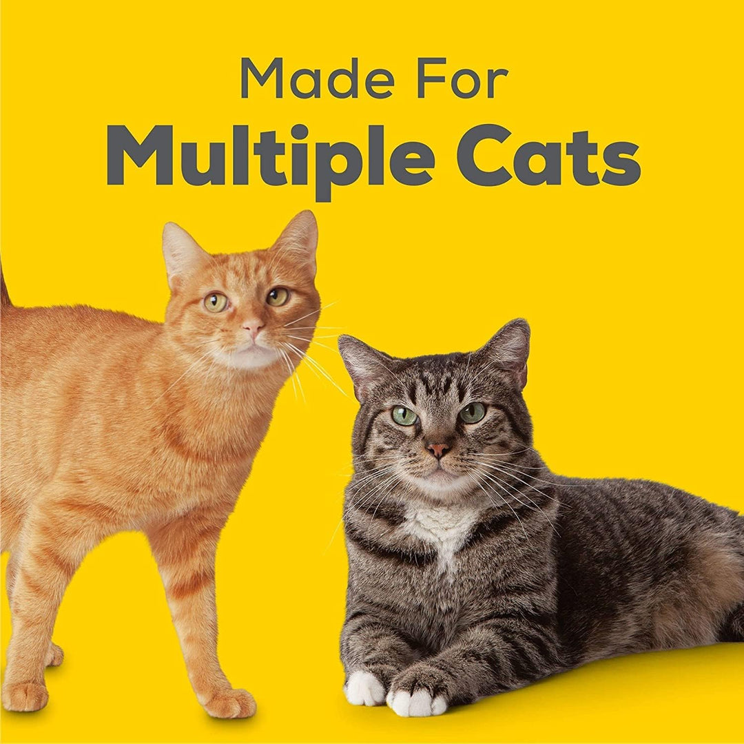 Tidy Katzenbrise Enhanced Katzenstreu Pellets – Aktiver sauberer Duft, Nachfüllpackung 1,6 kg mit Au