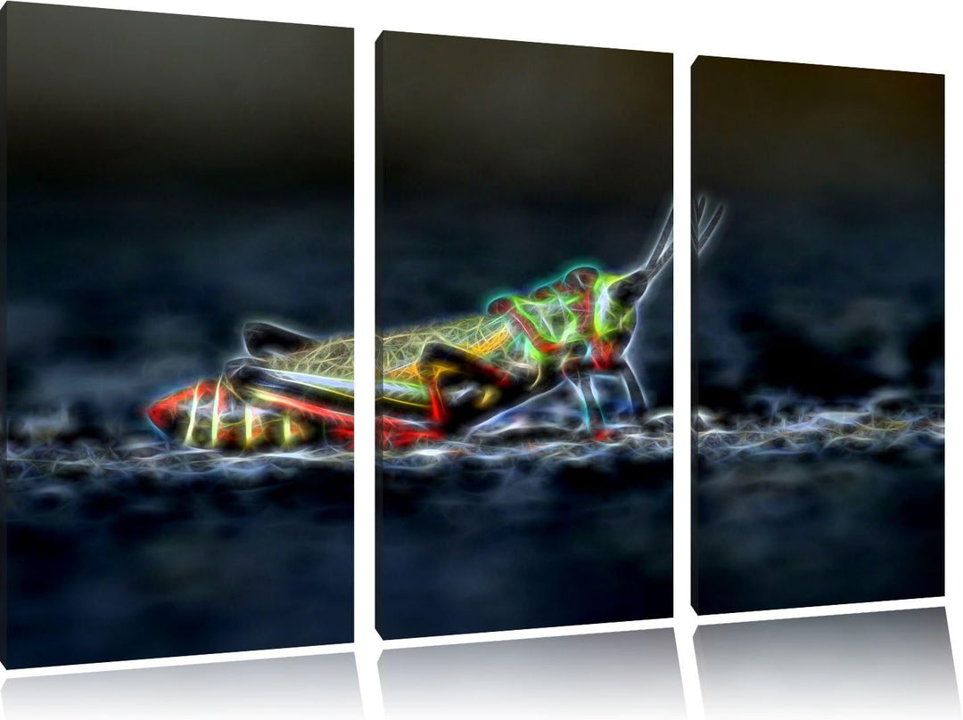 aussergewöhnliche Heuschrecke NewArt 3-Teiler Leinwandbild 120x80 Bild auf Leinwand, XXL riesige Bil