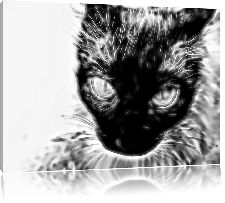 Pixxprint Schwarze Katze, Blaue Augen, als Leinwandbild/Grösse: 100x70 / Wandbild/Kunstdruck/fertig