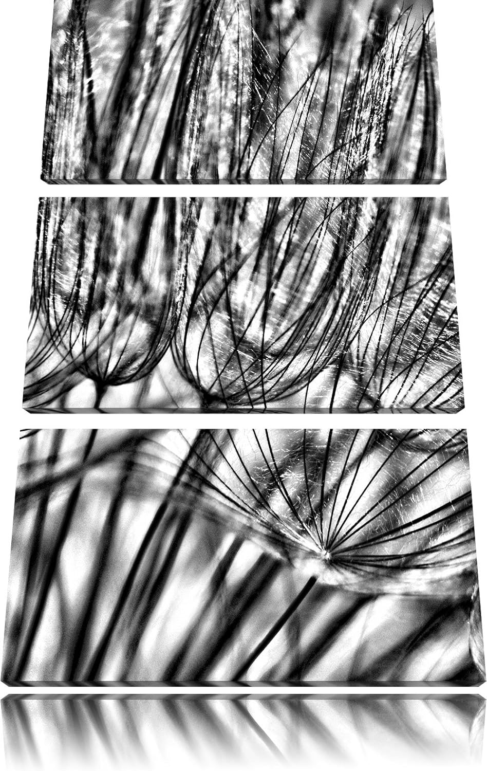 Pixxprint Pusteblumen als Leinwandbild/Grösse: 3 Teilig (120x80) cm/Wandbild/Kunstdruck/fertig bespa