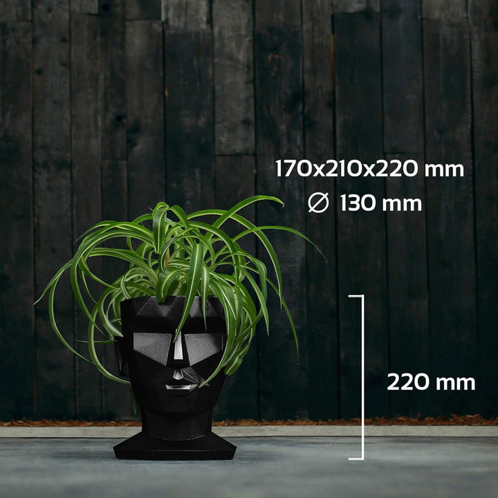 CONCRETTE Blumentopf Blumenkübel Zement-Pflanzkübel Übertopf aus Beton Aphrodite Ø 13 cm | 17 Farben