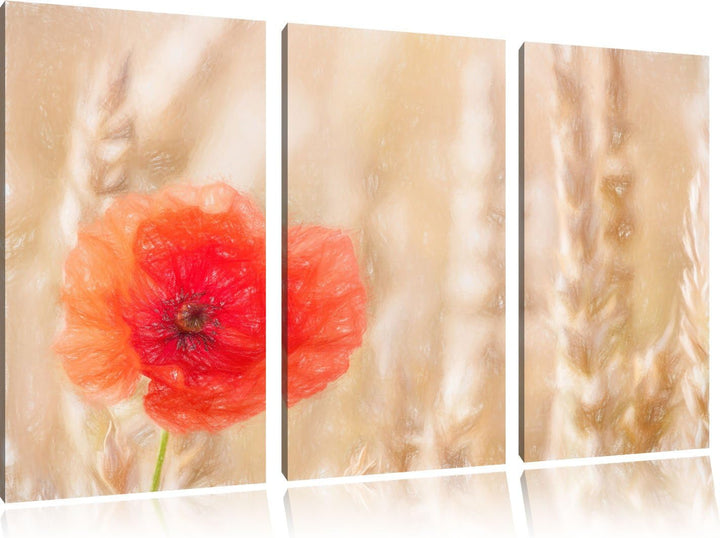 Pixxprint Mohnblume im Kornfeld als Leinwandbild/Grösse: 3 Teilig (120x80) cm/Wandbild/Kunstdruck/fe