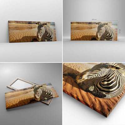 Panorama Bilder auf Leinwand 100x40cm Leinwandbild Zebra Strand Landschaft Gross Wanddeko Bild Schla