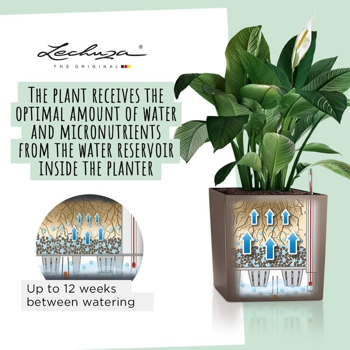 LECHUZA CUBE Premium 30 anthrazit metallic 16463 29.5x29.5x30 cm Anthrazit Metallic, 29.5x29.5x30 cm