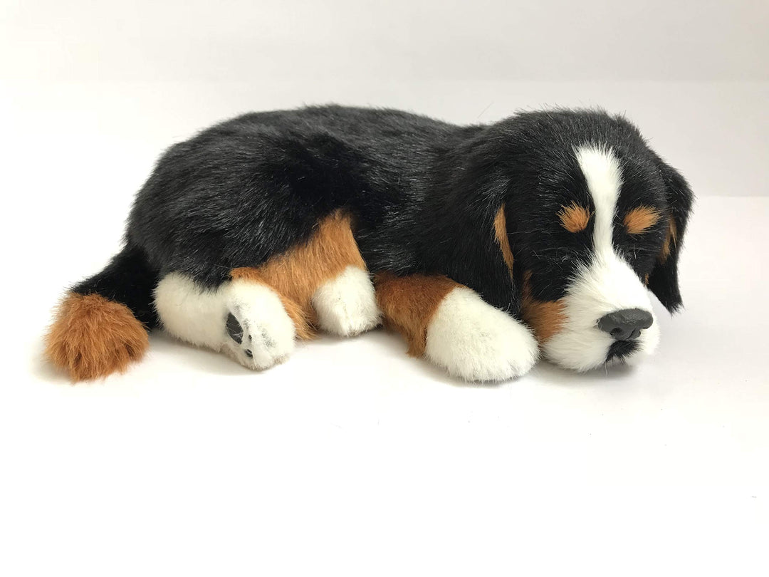 Perfect Petzzz Hundewelpe Berner Sennenhund , der richtig atmet The Breathing Puppy