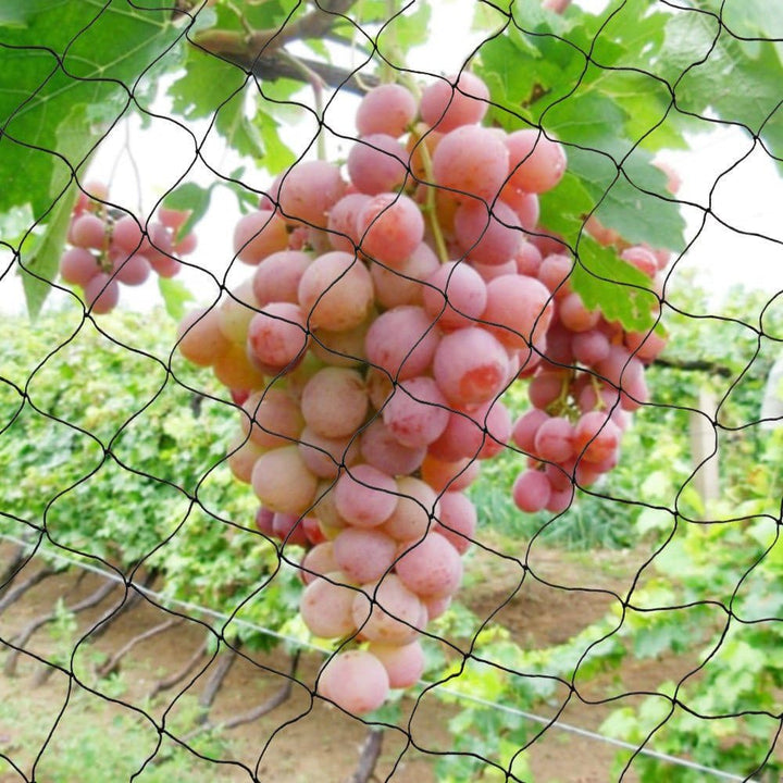 30x15M Teichnetz Laubschutznetz Gartennetz, Teichnetz Vogelnetz Schutznetz, Volieren Netz Feinmaschi