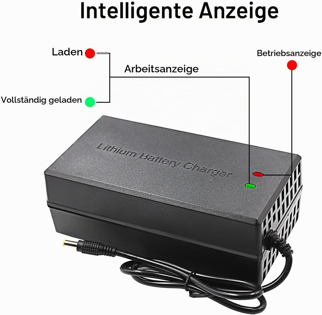 67.2V 5A Li-ion Ladegerät Mehrere Stecker Für Elektrofahrrad Roller E-Bike Boot Motorrad Batterielad