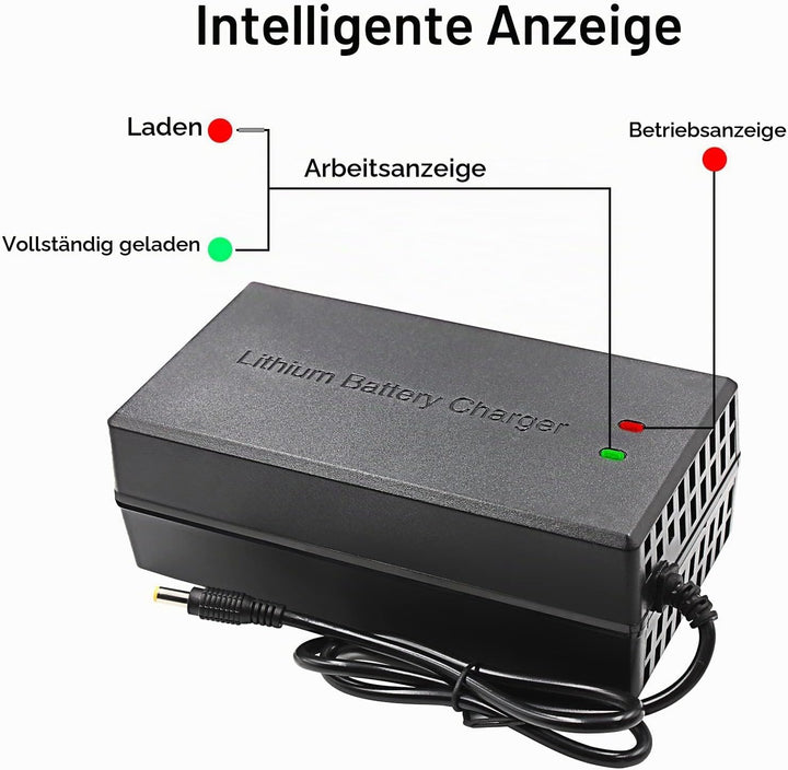 67.2V 5A Li-ion Ladegerät Mehrere Stecker Für Elektrofahrrad Roller E-Bike Boot Motorrad Batterielad