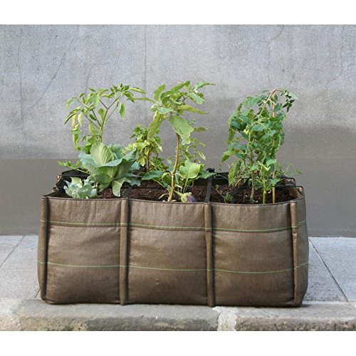 Urban Garden BACSAC Bacsquare 9 300 Liter