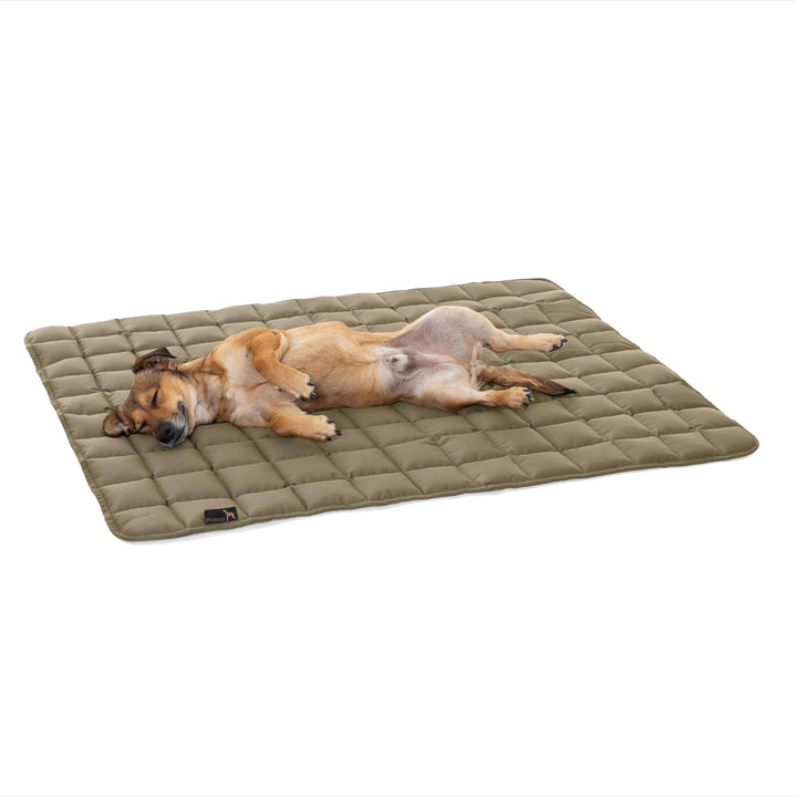 Pointer | Hundedecke 80 x 60 cm, Gepolstert & Strapazierfähig - Hundematte Waschbar bis 95°C, Lieged