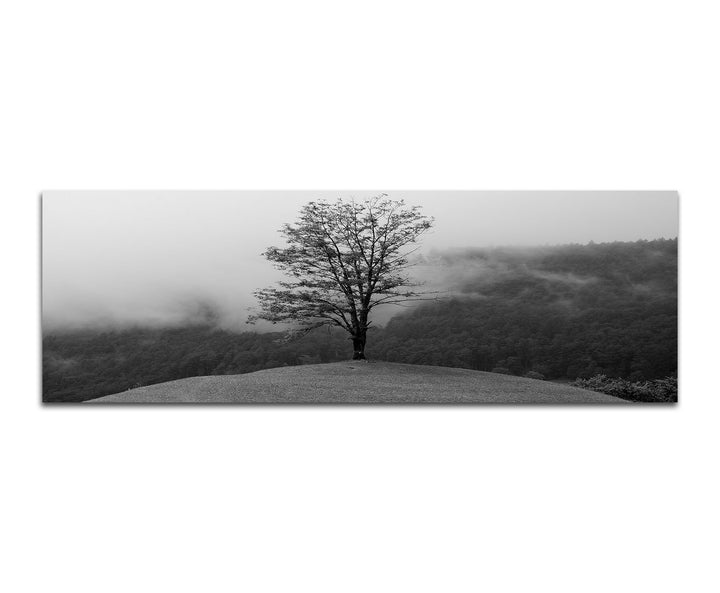 Paul Sinus Art Leinwandfoto als Panorama SCHWARZ/Weiss 120x40cm Wald See Nebel Insel Baum Spiegelung