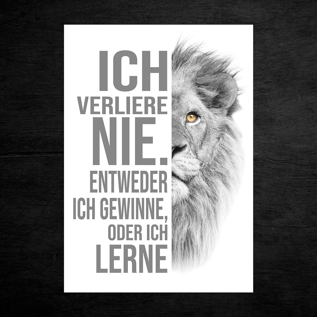 wandmotiv24 Poster als Wanddeko, Grösse Din A0, ich verliere nie, Weiss, Löwe, Moderne Wanddeko, Wan