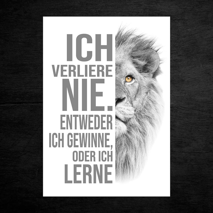 wandmotiv24 Poster als Wanddeko, Grösse Din A0, ich verliere nie, Weiss, Löwe, Moderne Wanddeko, Wan
