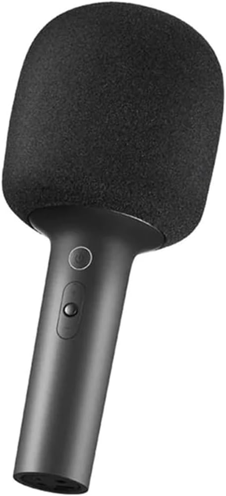 Karaoke Microphone